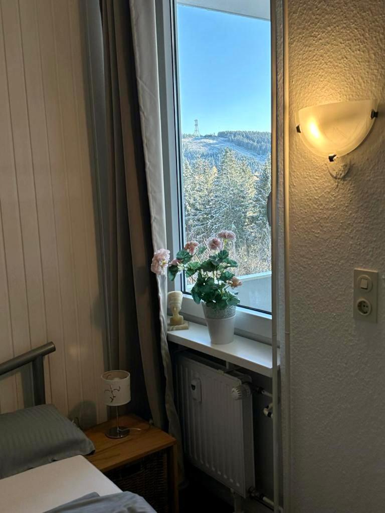 App 507 Bocksbergblick Im Ferienpark Hahnenklee Haus 1 Goslar Luaran gambar