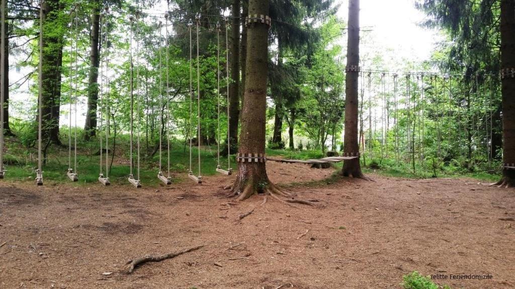 App 507 Bocksbergblick Im Ferienpark Hahnenklee Haus 1 Goslar Luaran gambar